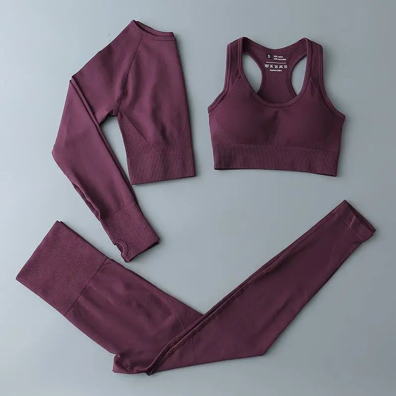Seamless Sports Suit for Women, Yoga Set, Workout Clothes, Fitness Wear, Long Sleeve Crop Top, High Waist Leggings, Gym Clothing