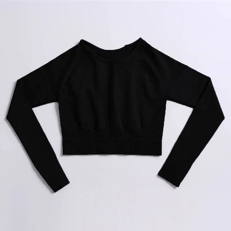 Seamless Sports Suit for Women, Yoga Set, Workout Clothes, Fitness Wear, Long Sleeve Crop Top, High Waist Leggings, Gym Clothing