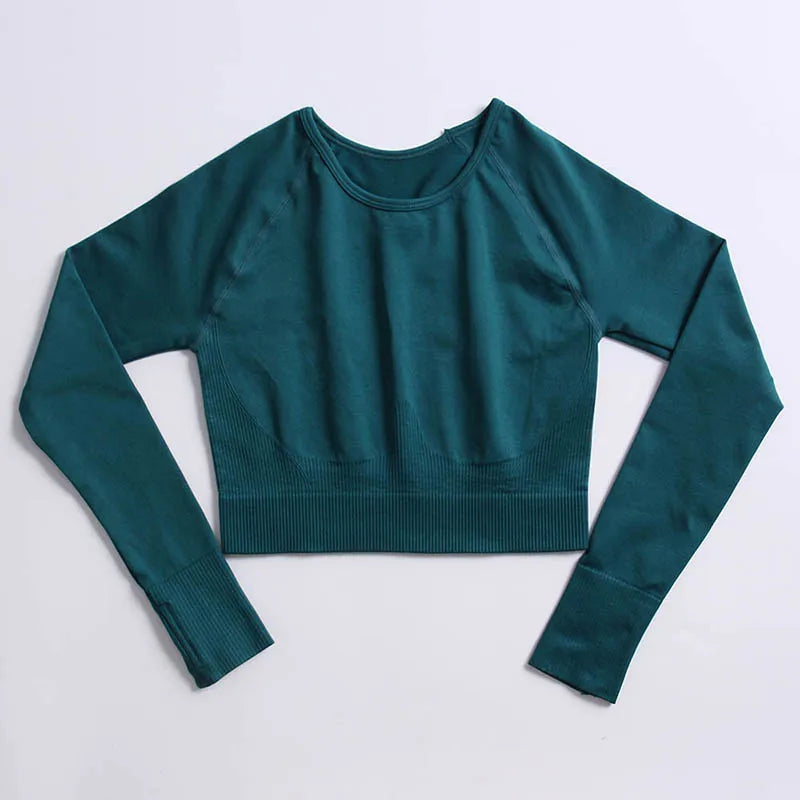 Seamless Sports Suit for Women, Yoga Set, Workout Clothes, Fitness Wear, Long Sleeve Crop Top, High Waist Leggings, Gym Clothing