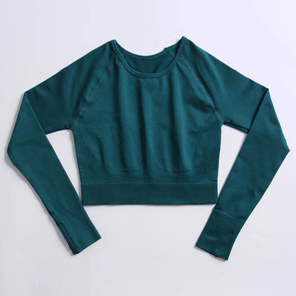 Seamless Sports Suit for Women, Yoga Set, Workout Clothes, Fitness Wear, Long Sleeve Crop Top, High Waist Leggings, Gym Clothing