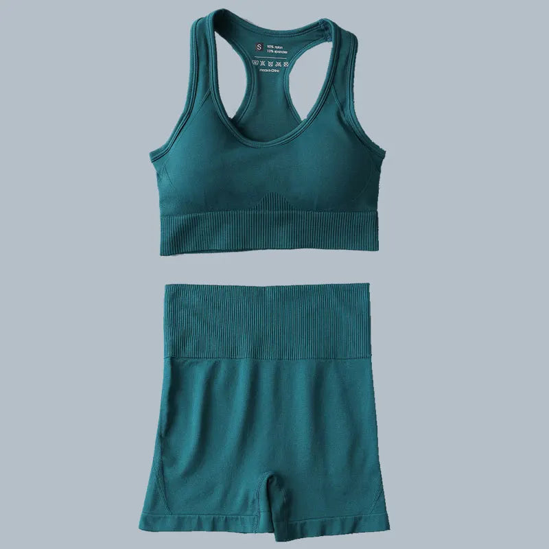Seamless Sports Suit for Women, Yoga Set, Workout Clothes, Fitness Wear, Long Sleeve Crop Top, High Waist Leggings, Gym Clothing