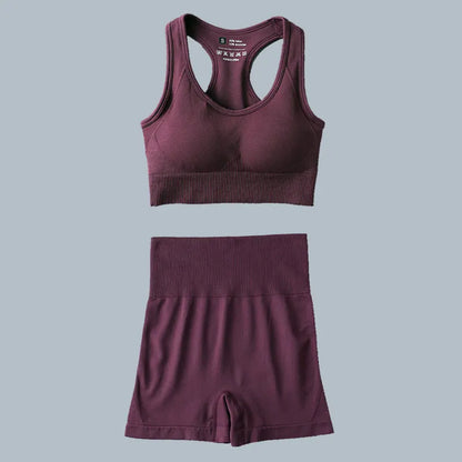 Seamless Sports Suit for Women, Yoga Set, Workout Clothes, Fitness Wear, Long Sleeve Crop Top, High Waist Leggings, Gym Clothing
