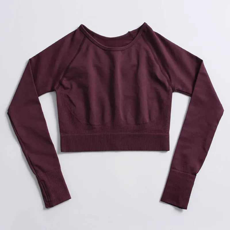 Seamless Sports Suit for Women, Yoga Set, Workout Clothes, Fitness Wear, Long Sleeve Crop Top, High Waist Leggings, Gym Clothing