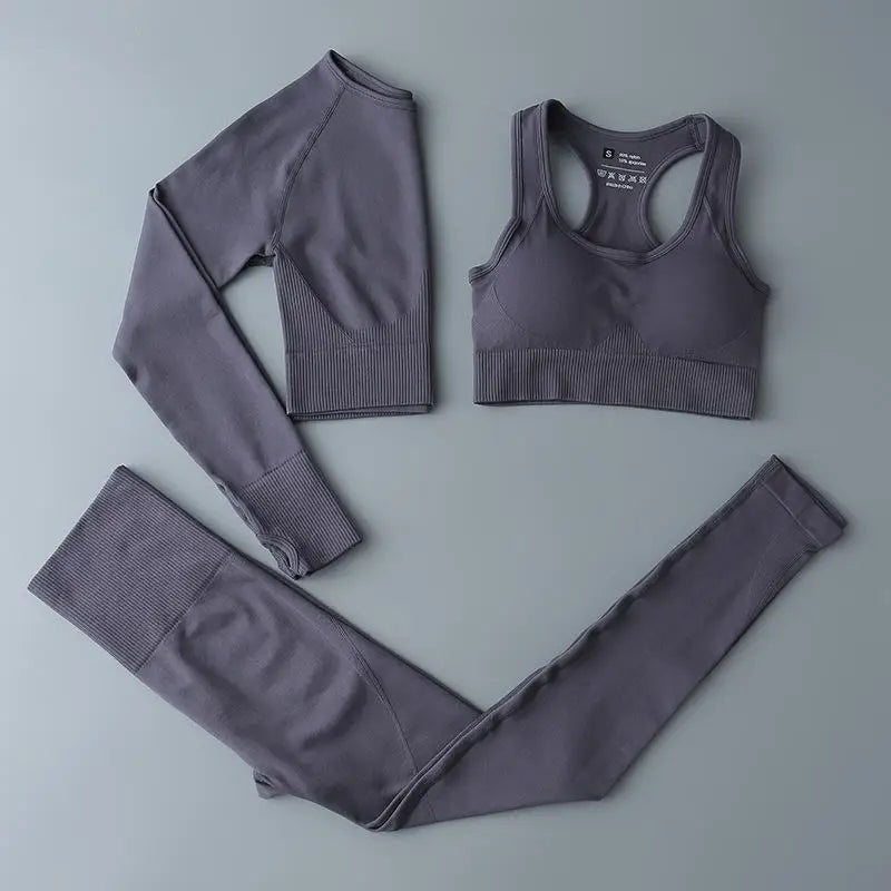 Seamless Sports Suit for Women, Yoga Set, Workout Clothes, Fitness Wear, Long Sleeve Crop Top, High Waist Leggings, Gym Clothing