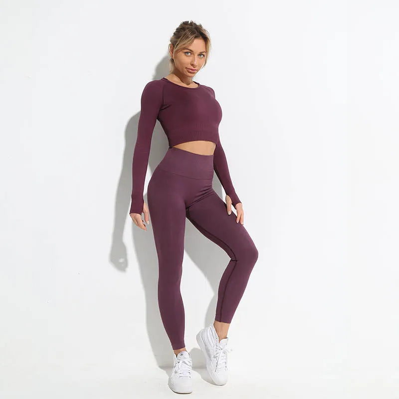 Seamless Sports Suit for Women, Yoga Set, Workout Clothes, Fitness Wear, Long Sleeve Crop Top, High Waist Leggings, Gym Clothing